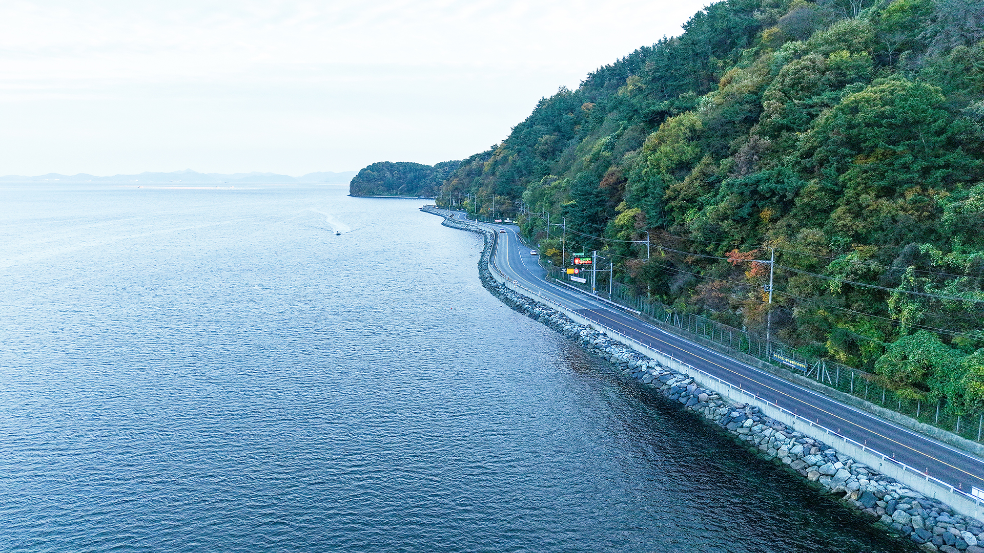 동진대교와 달뜨는 비오리